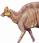Lambeosaurus