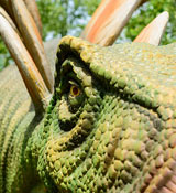 Stegosaurus