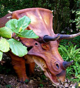 Eoceratops