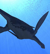 Elasmosaurus