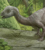 Hypsilophodon