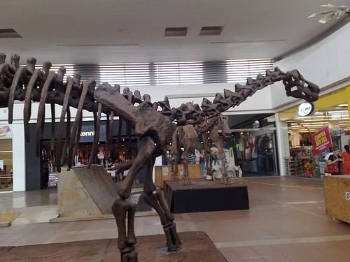 Titanosaurus Skeleton DinoPit